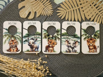 20240620150621resized